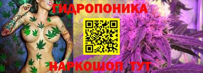 мдпв Пушкино